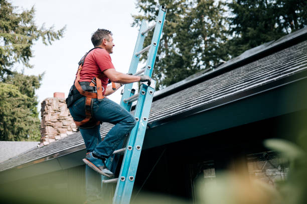 Best Steel Roofing  in Forestville, CA