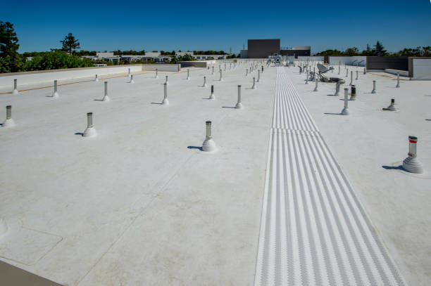 Best Solar Panel Roofing Installation  in Forestville, CA